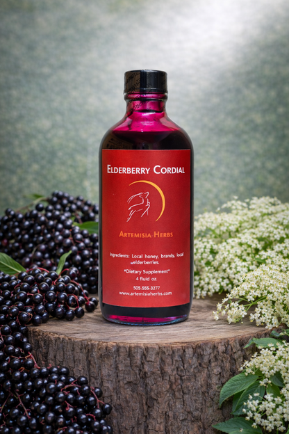Elderberry Cordial