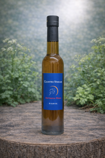 Cilantro Vinegar