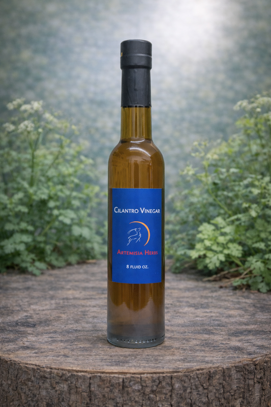 Cilantro Vinegar