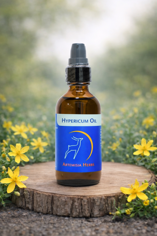 Hypericum Oil