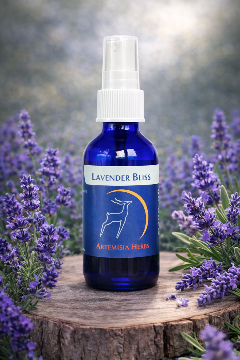 Lavender Bliss