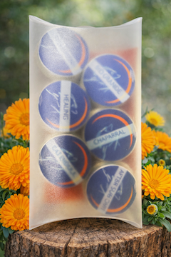 Salve Sampler Pack